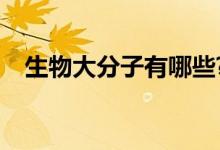 生物大分子有哪些?（生物大分子有哪些）