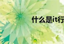 什么是it行业（什么是it）