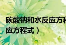 碳酸钠和水反应方程式是什么（碳酸钠和水反应方程式）