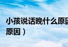 小孩说话晚什么原因导致的（小孩说话晚什么原因）