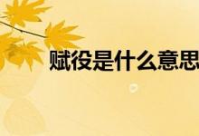 赋役是什么意思（服役是什么意思）