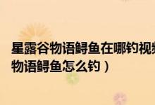 星露谷物语鲟鱼在哪钓视频（星露谷物语鲟鱼在哪钓 星露谷物语鲟鱼怎么钓）