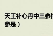 天王补心丹中三参指的是（天王补心丹中的三参是）