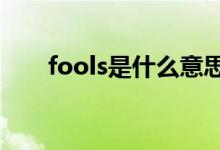 fools是什么意思（fool是什么意思）
