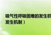 吸气性呼吸困难的发生机制是 (A1题)（吸气性呼吸困难的发生机制）