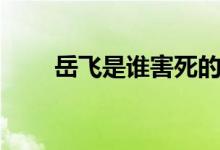 岳飞是谁害死的（岳飞是怎么死的）