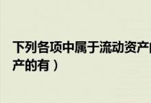 下列各项中属于流动资产的有多选（下列各项中属于流动资产的有）