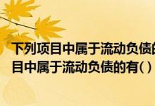 下列项目中属于流动负债的有a短期借款b应付账款（下列项目中属于流动负债的有( )）