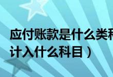 应付账款是什么类科目（无法支付的应付账款计入什么科目）