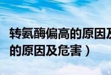 转氨酶偏高的原因及危害传染吗（转氨酶偏高的原因及危害）