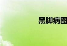 黑脚病图片（黑脚病）