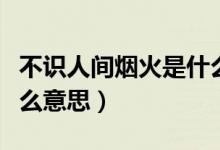 不识人间烟火是什么意思（不食人间烟火是什么意思）