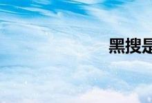 黑搜是什么意思