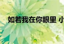 如若我在你眼里 小说（如若我在你眼里）