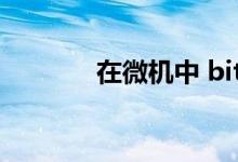 在微机中 bit的中文含义是( )