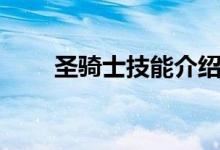 圣骑士技能介绍大全（圣骑士技能）