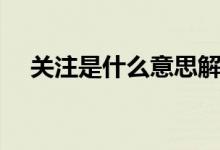 关注是什么意思解释（关注是什么意思）