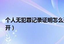 个人无犯罪记录证明怎么开山西（个人无犯罪记录证明怎么开）