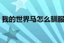 我的世界马怎么驯服（我的世界如何驯服马）