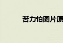 苦力怕图片原版(苦力怕图片)