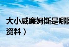 大小威廉姆斯是哪国人（关于大小威廉姆斯的资料）