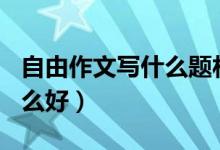 自由作文写什么题材好600字（自由作文写什么好）