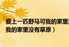 爱上一匹野马可我的家里没有草原什么歌（爱上一匹野马可我的家里没有草原）