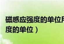 磁感应强度的单位用国际单位表示（磁感应强度的单位）