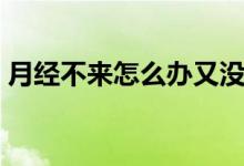 月经不来怎么办又没怀孕（月经不来怎么办）
