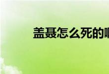 盖聂怎么死的啊（盖聂怎么死的）