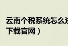 云南个税系统怎么进入（云南省个税申报系统下载官网）