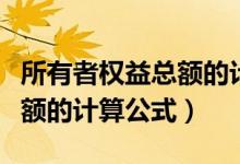 所有者权益总额的计算公式为（所有者权益总额的计算公式）
