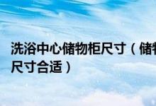 洗浴中心储物柜尺寸(储物柜尺寸一般是多少 多大的储物柜尺寸合适)