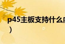 p45主板支持什么内存（p45主板支持的cpu）