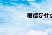 宿儒是什么意思（宿儒）