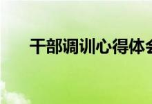 干部调训心得体会（什么是干部调训）