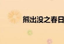 熊出没之春日对对碰（夜夜碰）