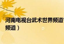 河南电视台武术世界频道节武林春晚（河南电视台武术世界频道）