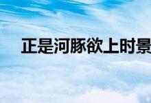 正是河豚欲上时景象（正是河豚欲上时）