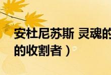 安杜尼苏斯 灵魂的收割者（安杜尼苏斯灵魂的收割者）