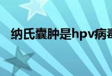 纳氏囊肿是hpv病毒引起的吗（纳氏囊肿）