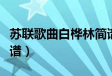 苏联歌曲白桦林简谱视频（苏联歌曲白桦林简谱）