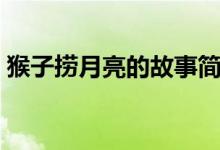 猴子捞月亮的故事简介（猴子捞月亮的故事）