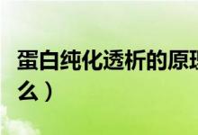蛋白纯化透析的原理是什么（透析的原理是什么）