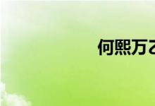 何熙万乙乙(何熙)
