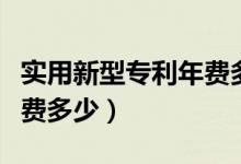 实用新型专利年费多少一年（实用新型专利年费多少）