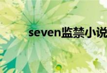 seven监禁小说剧透（seven监禁）