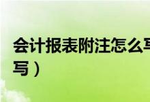 会计报表附注怎么写范文（会计报表附注怎么写）