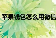 苹果钱包怎么用微信支付（苹果钱包怎么用）