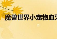 魔兽世界小宠物血牙怎么打（血牙怎么打）